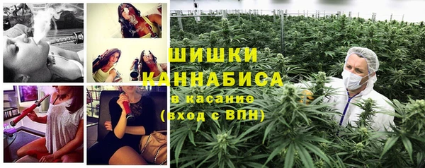 твердый Аркадак