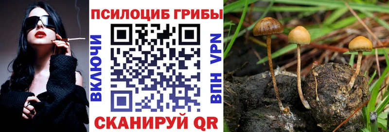 блэк спрут ссылки  Спасск  Галлюциногенные грибы ЛСД  сколько стоит 